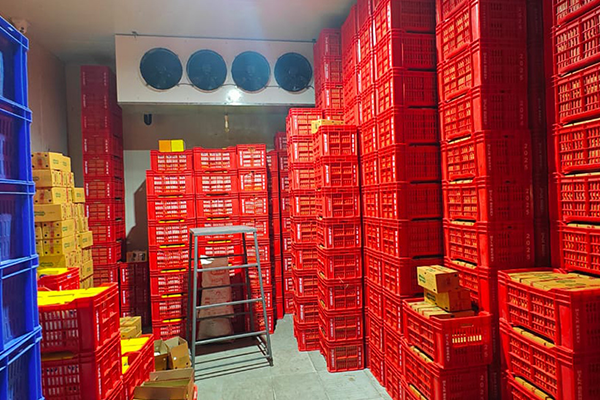 cold room manufacturers