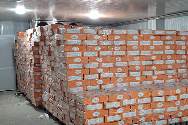 cold room manufacturers