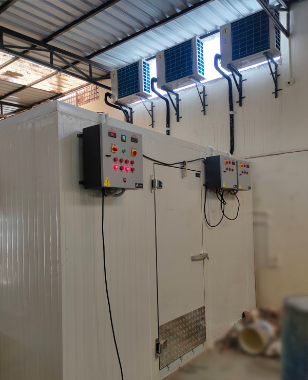 blast freezer manufacturers in india
