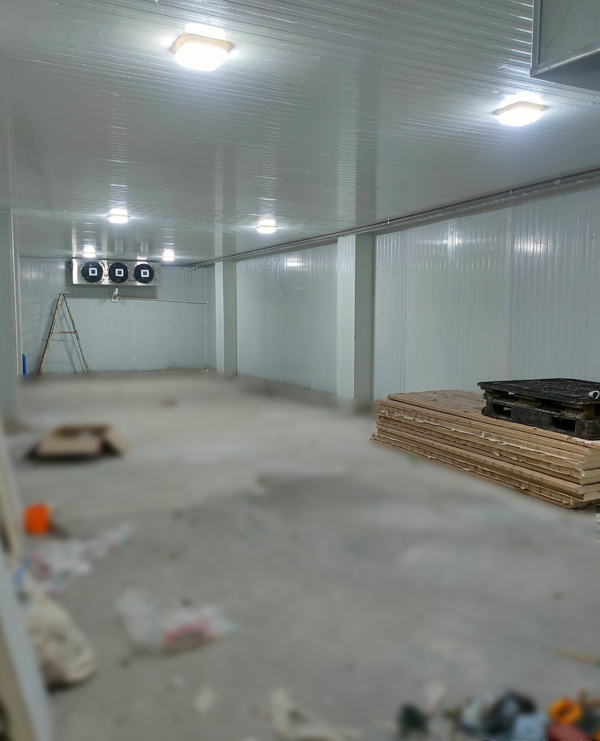 blast freezer manufacturers in india