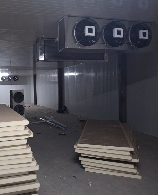 blast freezer manufacturers in india