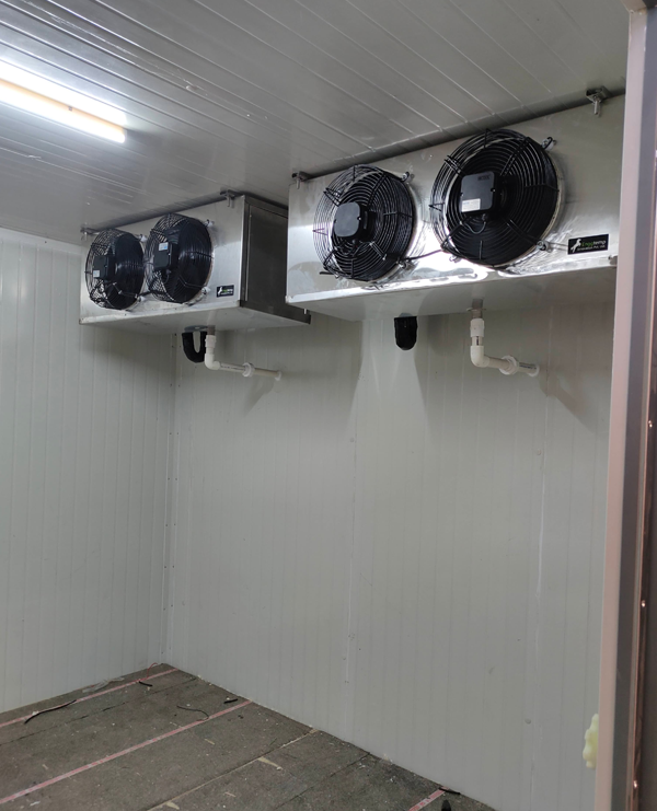 blast freezer manufacturers in india